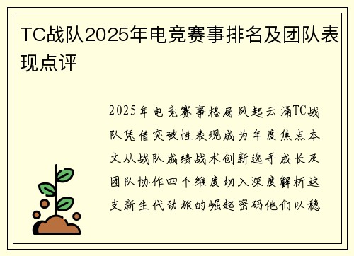 TC战队2025年电竞赛事排名及团队表现点评